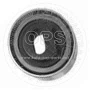 TENSIONER PULLEY